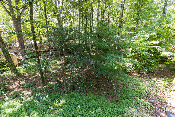 4918 Scotts Creek Trail_MLS_41