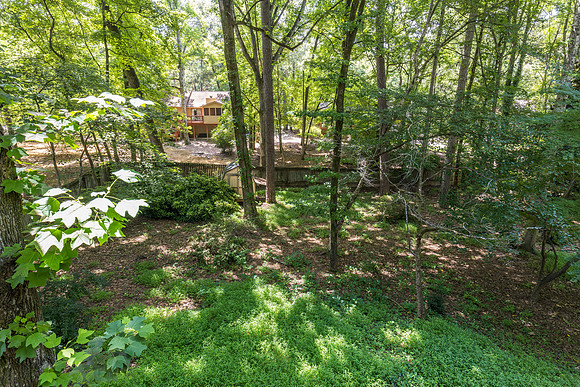 4918 Scotts Creek Trail_hi-res_40
