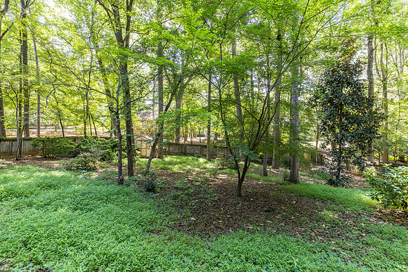 4918 Scotts Creek Trail_hi-res_42