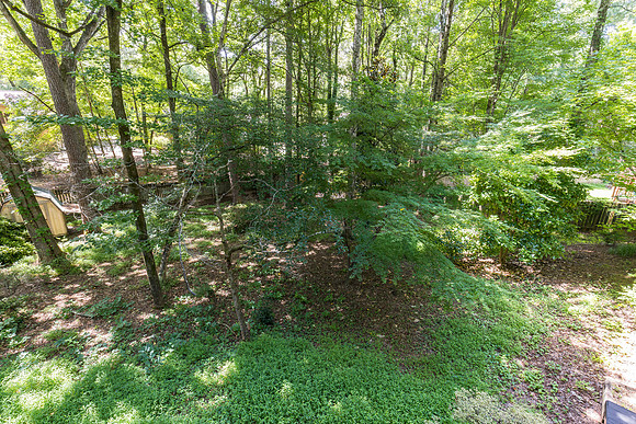 4918 Scotts Creek Trail_hi-res_41
