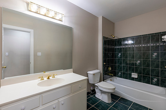 8445 Sentinae Chase Dr_MLS_59