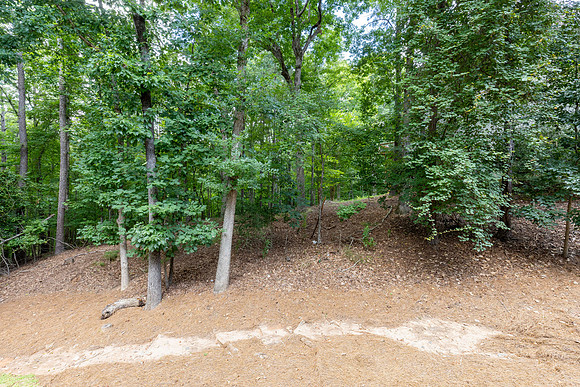 8445 Sentinae Chase Dr_hi-res_65