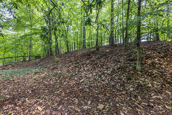 4961 Rebel Trail_hi-res_35