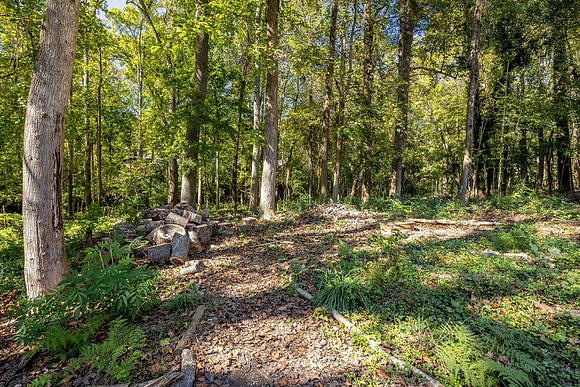 999 Woodland Ave_hi-res_43