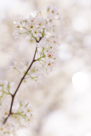Spring 2014_hi-res_6