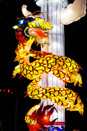 Chinese Lantern Festival_hi-res_9