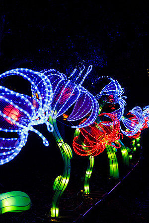 Chinese Lantern Festival_hi-res_10