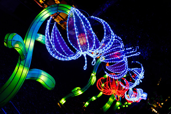 Chinese Lantern Festival_hi-res_11