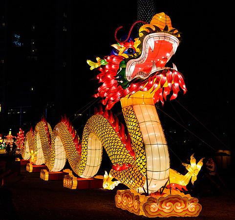 Chinese Lantern Festival_hi-res_19