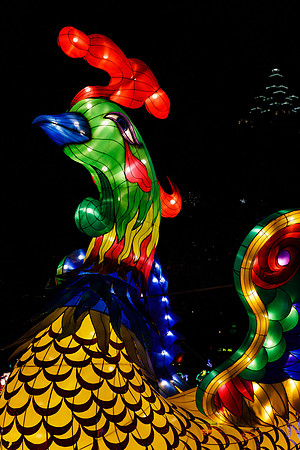 Chinese Lantern Festival_hi-res_24