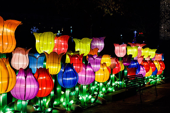 Chinese Lantern Festival_hi-res_27