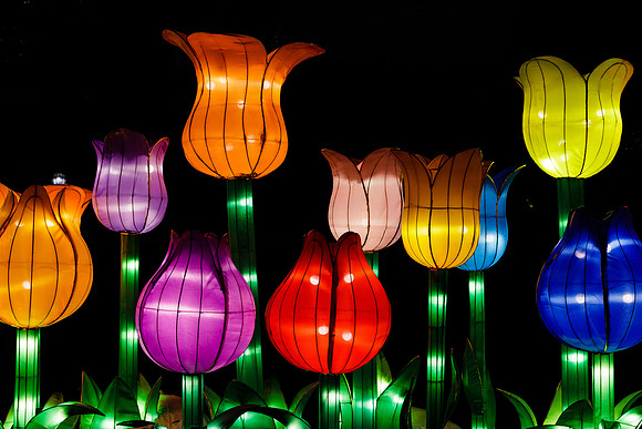 Chinese Lantern Festival_hi-res_28