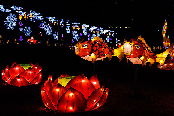 Chinese Lantern Festival_hi-res_29