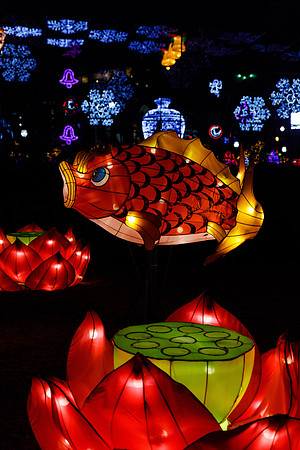 Chinese Lantern Festival_hi-res_30