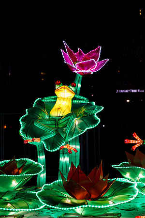 Chinese Lantern Festival_hi-res_32