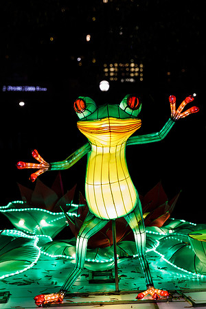 Chinese Lantern Festival_hi-res_33