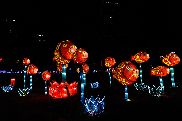 Chinese Lantern Festival_hi-res_40
