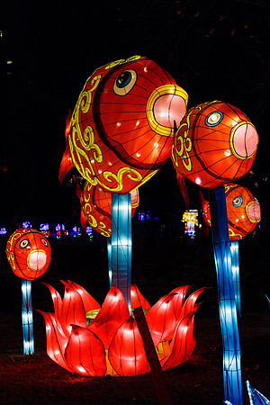 Chinese Lantern Festival_hi-res_41