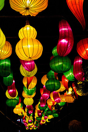 Chinese Lantern Festival_hi-res_42