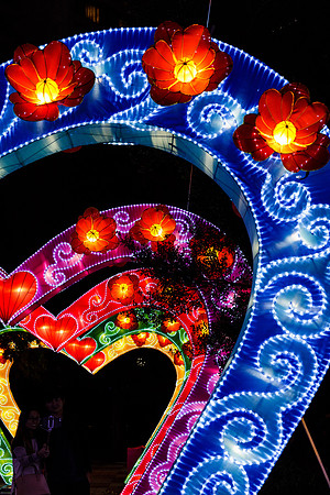 Chinese Lantern Festival_hi-res_46