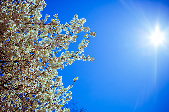 Spring 2014_hi-res_2