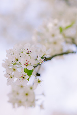 Spring 2014_hi-res_3