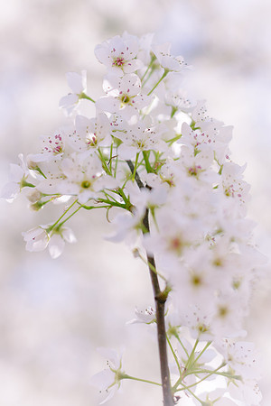 Spring 2014_hi-res_7