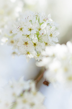 Spring 2014_hi-res_5